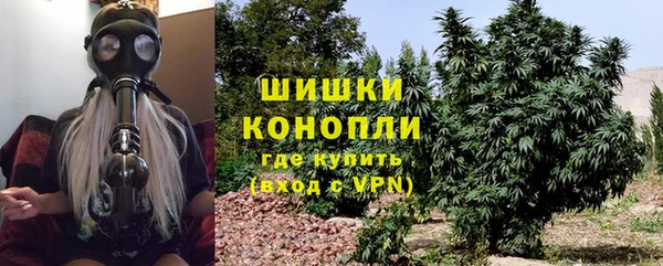 ECSTASY Нязепетровск