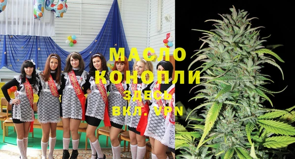 дживик Пересвет
