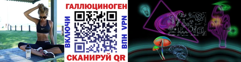 Псилоцибиновые грибы мицелий  наркотики  Городище 